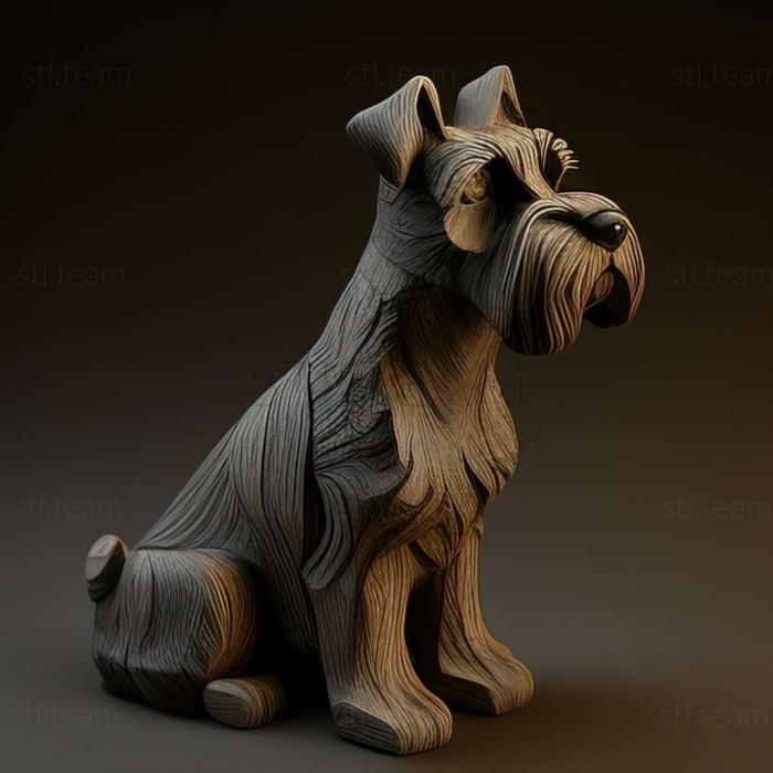 Zwergschnauzer dog